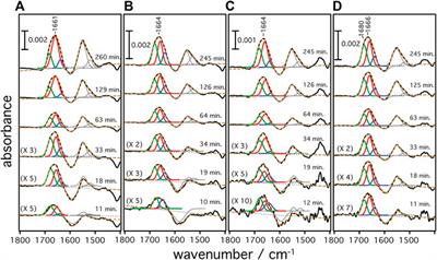 Monitoring the Progression of Cell-Free Expression of Microbial Rhodopsins by Surface Enhanced IR Spectroscopy: Resolving a Branch Point for Successful/Unsuccessful Folding